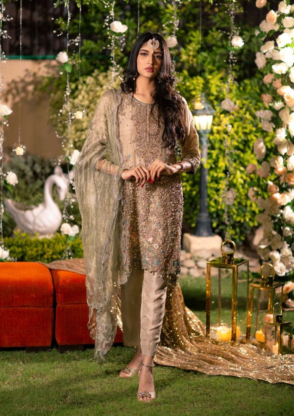 Short A- Line shirt syle dress with gold embellishment and multi color thread work on net fabric with plain grip pants pairfed with crushed tissue same color dopata.