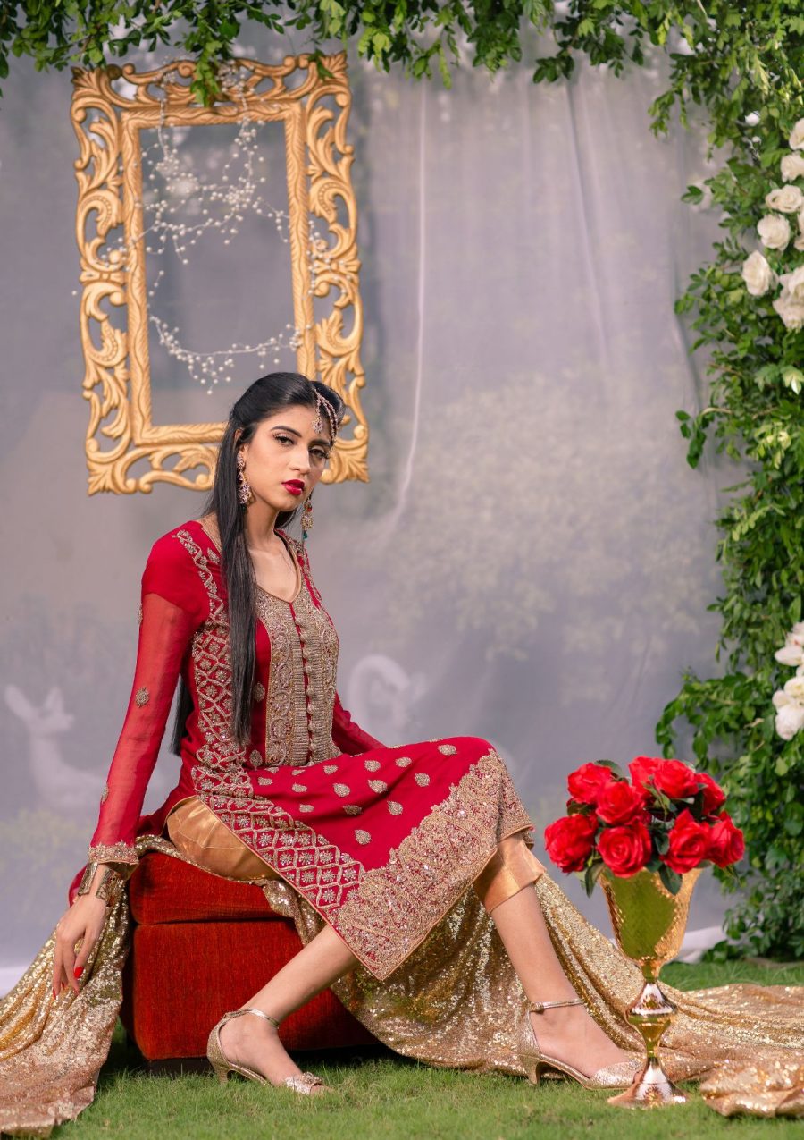 Red with Golden Embroidery party Dress