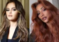 Hair Color Brands